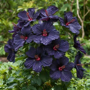 Гибискус Мэджик Момент купить по цене от 699р. в интернет-магазине «Посадика» с доставкой почтой в в Кириллове и по всей России – [изображение №1].