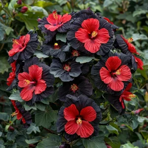 Гибискус Шиммеринг купить по цене от 720р. в интернет-магазине «Посадика» с доставкой почтой в в Кириллове и по всей России – [изображение №1].